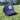 SG PATCH GOLF CAP